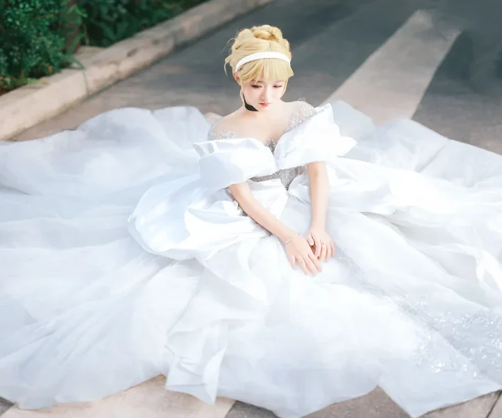 Disney Wedding Dress