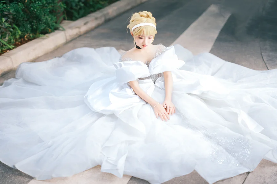 Disney Wedding Dress