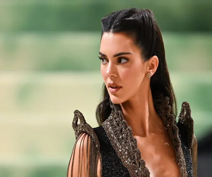 Kendall Jenner Dress