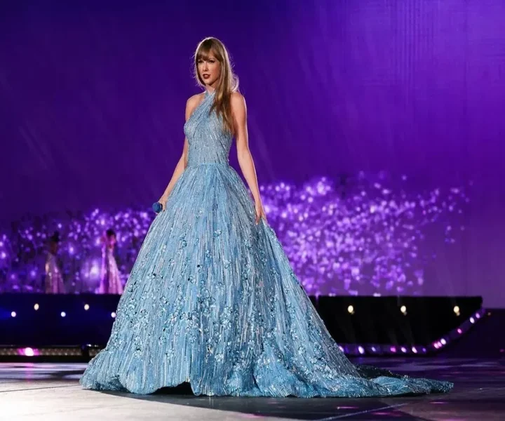 Taylor Swift Enchanted Dress