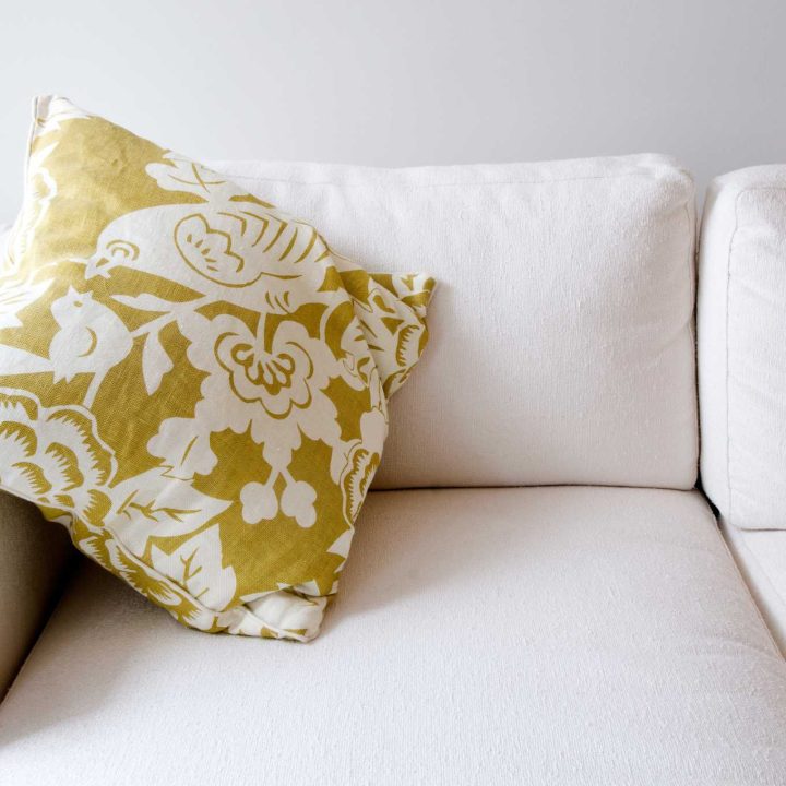 The First Hour After a Spill: What Your Couch Is Doing While You Panic